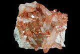 Natural, Red Quartz Crystal Cluster - Morocco #80648-1